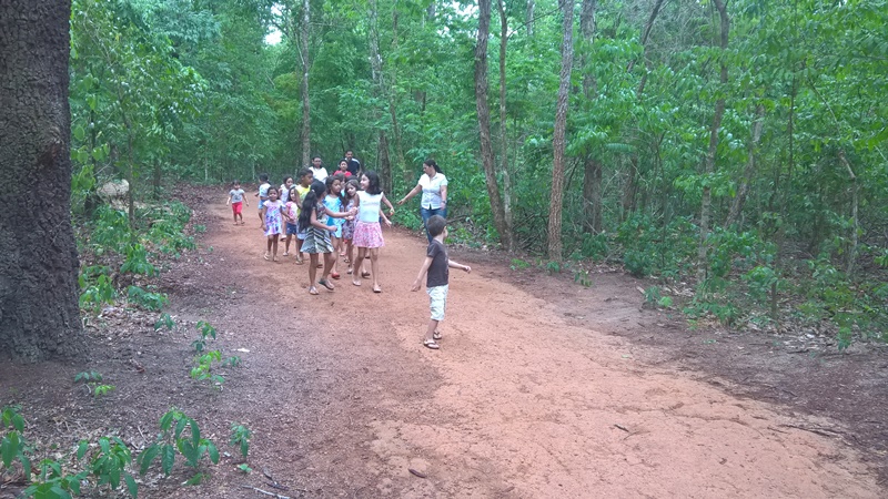 WP_20161012_08_54_33_Pro