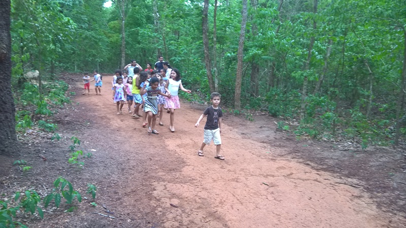 WP_20161012_08_54_35_Pro