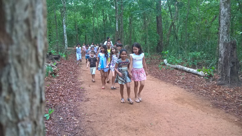 WP_20161012_08_56_15_Pro