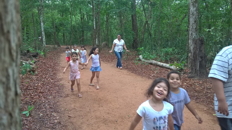 WP_20161012_08_56_25_Pro