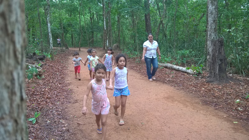 WP_20161012_08_56_28_Pro