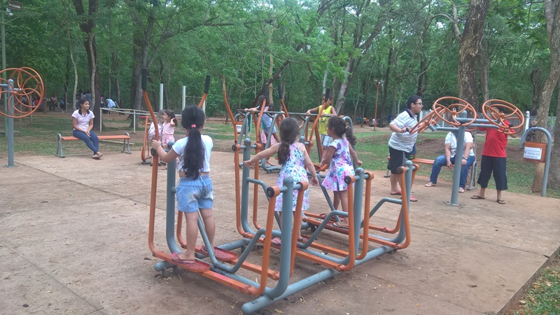 WP_20161012_09_26_46_Pro