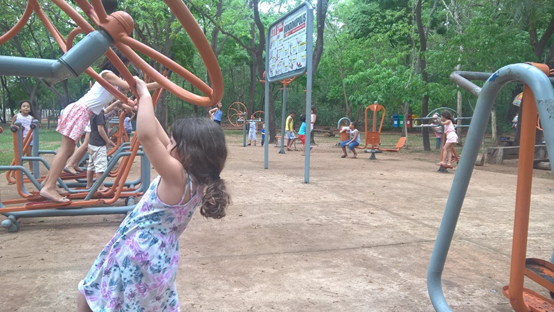 WP_20161012_09_36_25_Pro